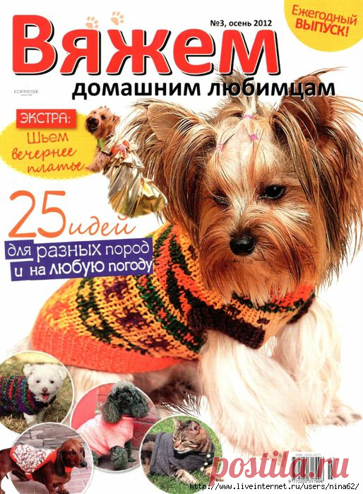 Вяжем домашним любимцам. "Собака в свитере". 25 идей