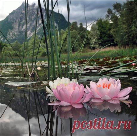 103751949_0_bee45_cd913134_XL.jpg (Изображение JPEG, 700 × 695 пикселов) - Масштабированное (72%)