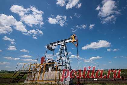 В Госдуме оценили последствия от снижения потолка цен на российскую нефть