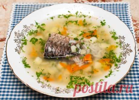 Уха с рисом / Простые рецепты