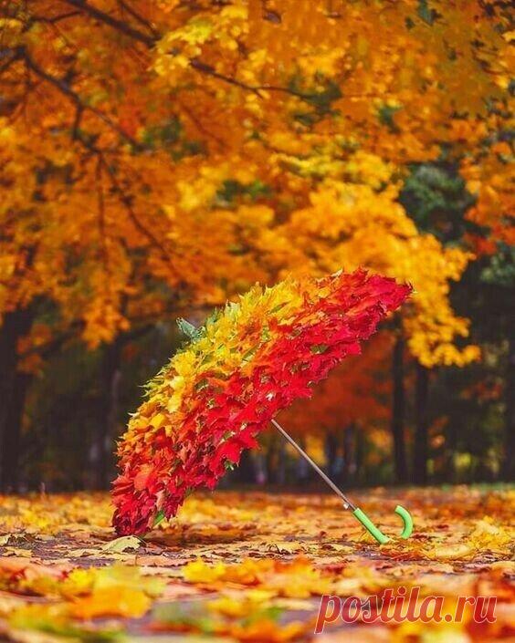 «🌺 Осенний пейзаж 🌺 » в Яндекс.Коллекциях