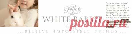WHITE RABBIT