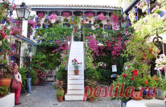 patios cordobeses interiores bonitos - Buscar con Google