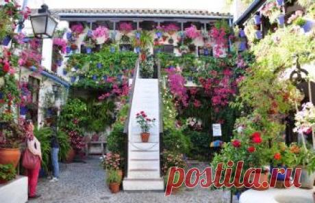 patios cordobeses interiores bonitos - Buscar con Google