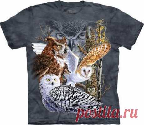 Футболки The Mountain с коротким рукавом