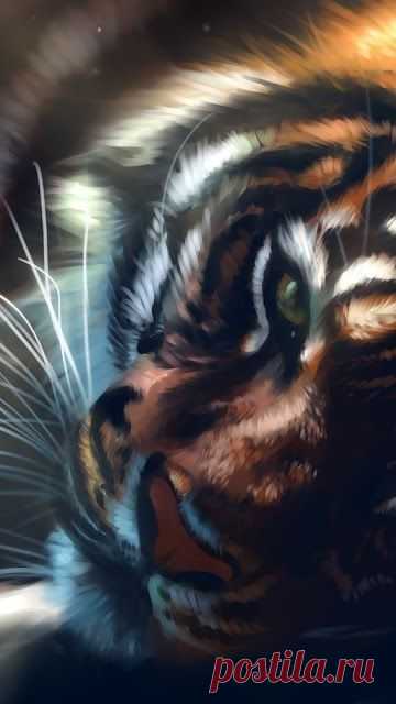 59f0b770d4432b474cc14fa46c7eac9a.jpg (360×640)