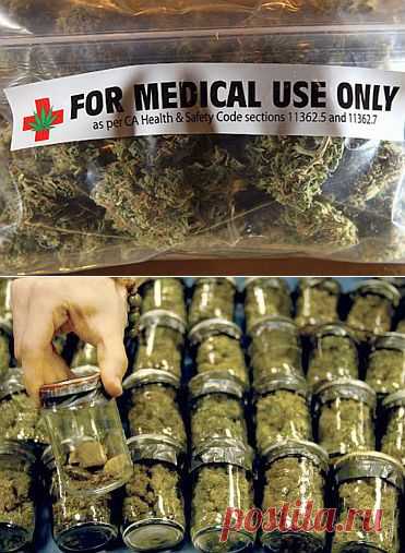 Марихуана в медицине | Я ЗДОРОВ!