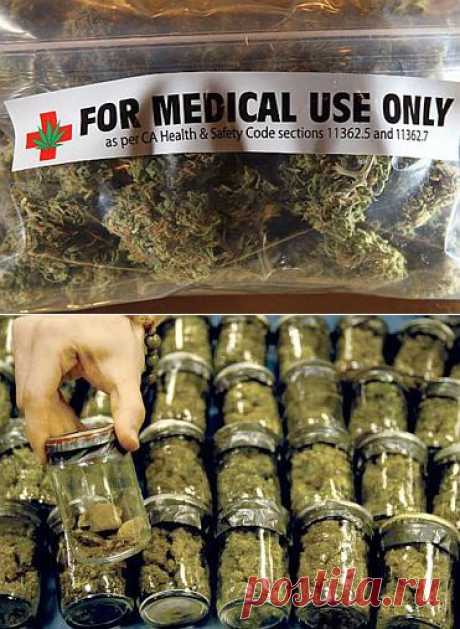Марихуана в медицине | Я ЗДОРОВ!