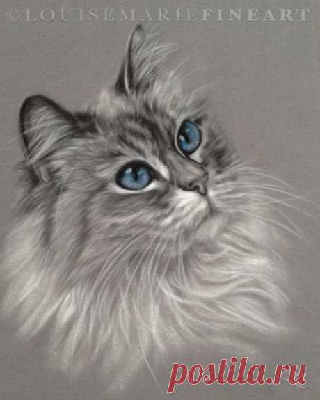 (35) Pinterest