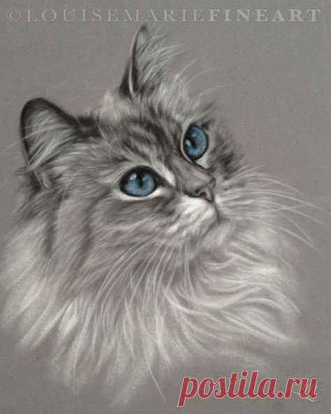 (35) Pinterest
