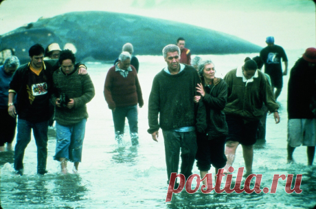 Оседлавший кита (2002)
