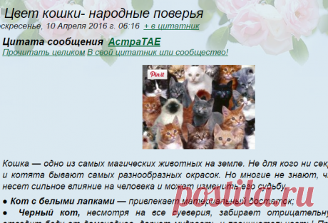 Цвет кошки- народные поверья