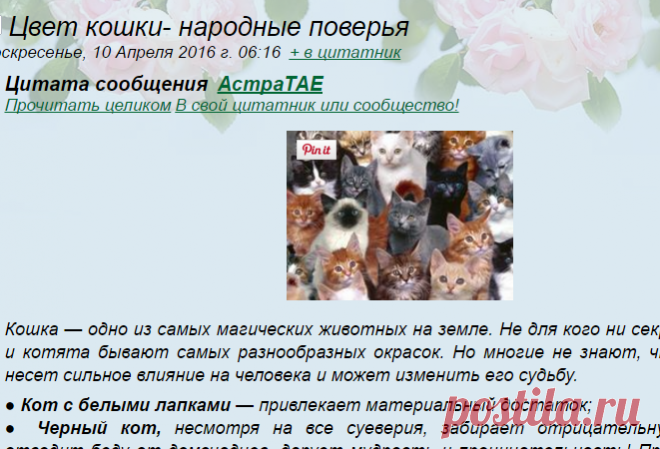 Цвет кошки- народные поверья