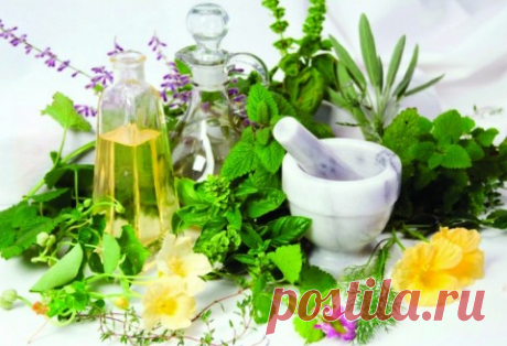 Блог сайта «Народная медицина»