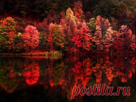 Зеркальное отражение осени в воде! Буйство осенних красок над зеркалом озер! - Блог Три и ночка