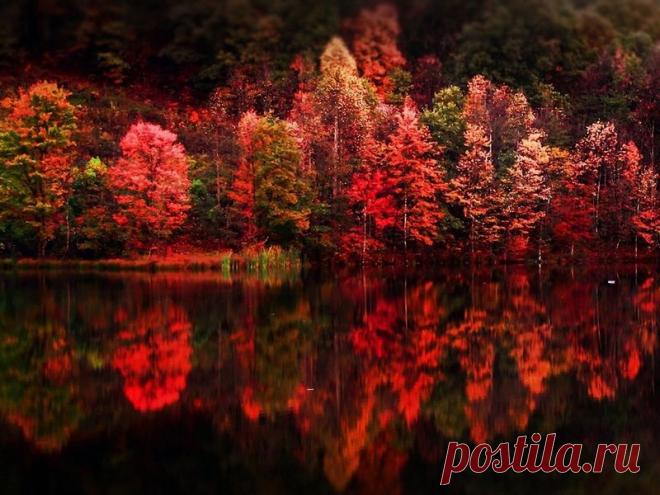 Зеркальное отражение осени в воде! Буйство осенних красок над зеркалом озер! - Блог Три и ночка