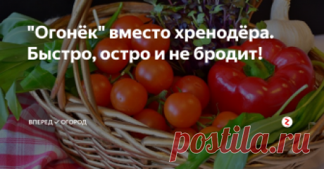 "Огонёк" вместо хренодёра. Быстро, остро и не бродит! Кто любит пельмешки с хренодером? Предлагаю вам рецепт, который ничем не уступает этому популярному, известному с давних времен хренодеру.
Плюсом приготовления "Огонька" является простота, а также то, что он не взрывается и не бродит в процессе хранения.
Подходит как соус для пельменей и вареников, хорош к мясу, сосискам, как добавка к поджарке для супа или соуса к макаронам, да и просто намазанны