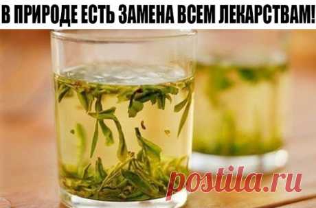 (8) Одноклассники