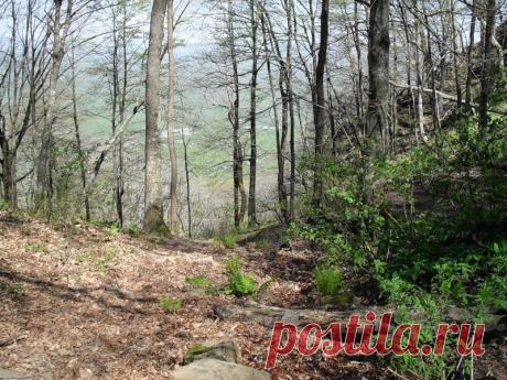 Эхо лесного похода - 15 Сентября 2015 - Персональный сайт