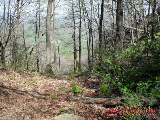 Эхо лесного похода - 15 Сентября 2015 - Персональный сайт