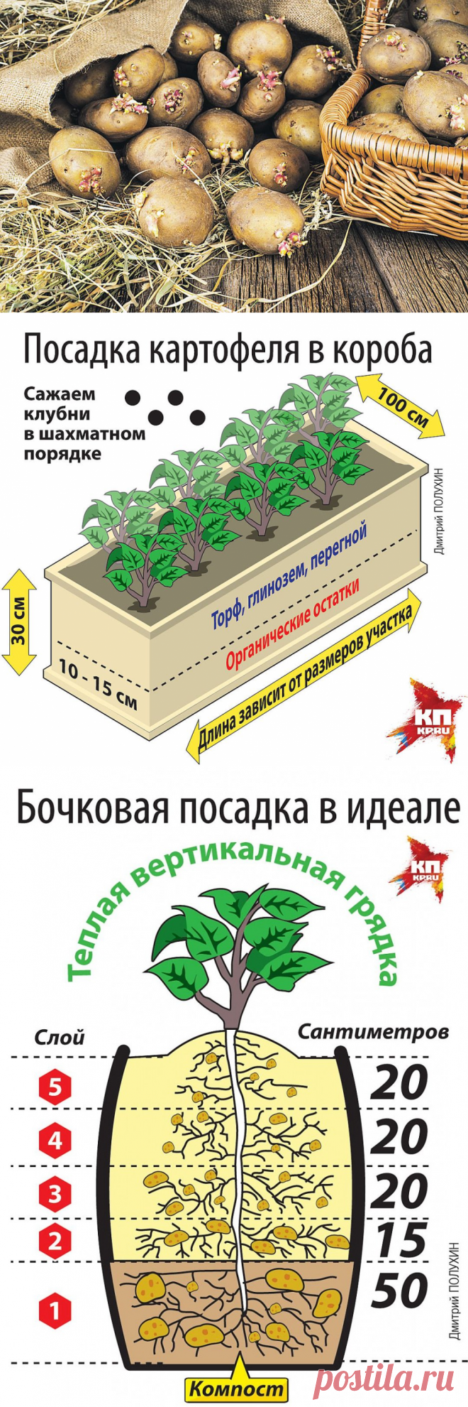 Необычных и эффективных способов посадки картофеля