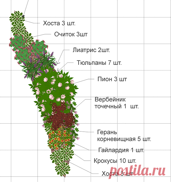 готовые схемы цветников и клумб для начинающих: 10 тыс изображений найдено в Яндекс.Картинках