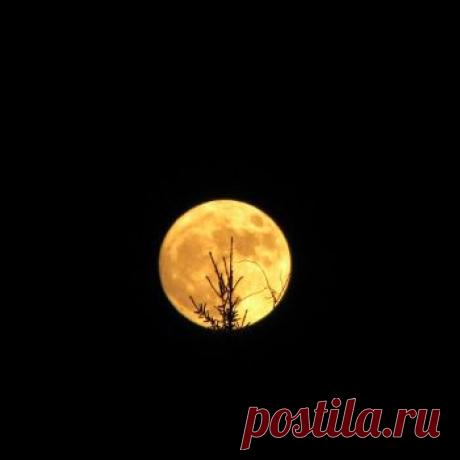 Лунный посевной календарь огородника на 2015 год.