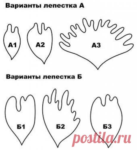 Фотографии Юлии Фоамиран – 36 альбомов