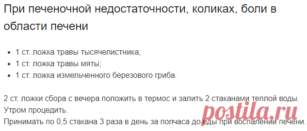 Чага - березовый гриб