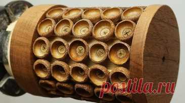 Делаем кружку из шляпок от желудей. Это было довольно необычно! | Мастерская Бруно | Дзен