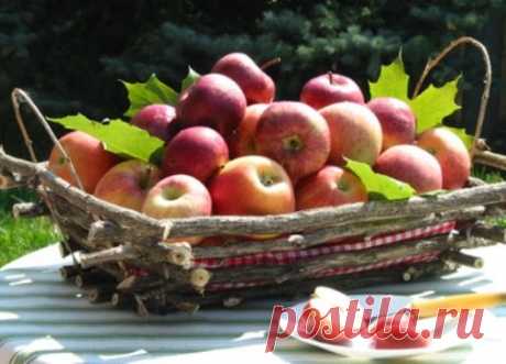 Удивительные поделки из дерева + мастер-класс