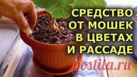 Статьи, новости и видео от популярных блогеров и СМИ | Будь в теме — будь в Дзене