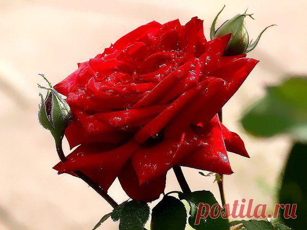 Интересные новости