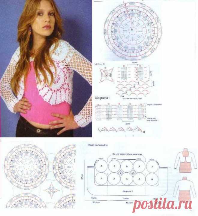 Graciela Tejidos: CAMPERAS