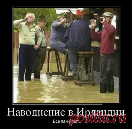 Сборник демотиваторов для зарядки позитивом