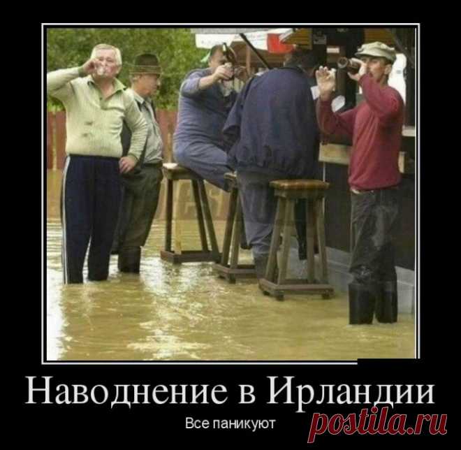 Сборник демотиваторов для зарядки позитивом