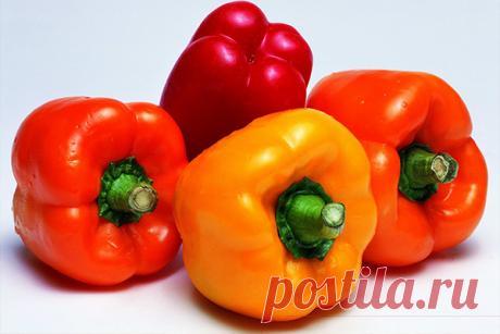 Чем подкормить рассаду перца