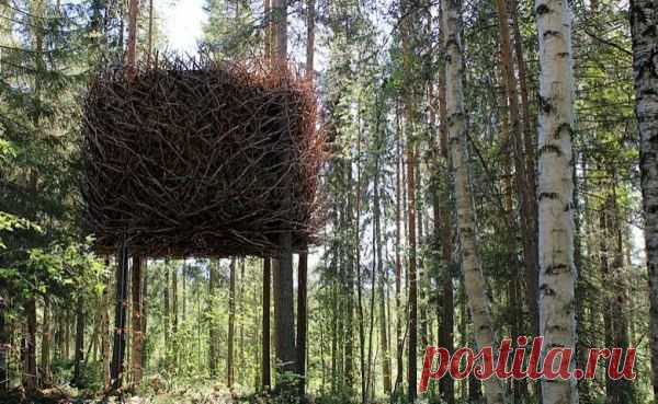 Домик на дереве