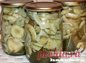 Грузди маринованные | Фоторецепт с подробным описанием от Харч.ру
