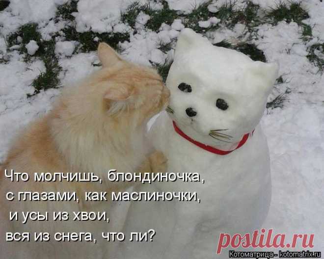 kotomatritsa_gY.jpg (Изображение JPEG, 720 × 576 пикселов)