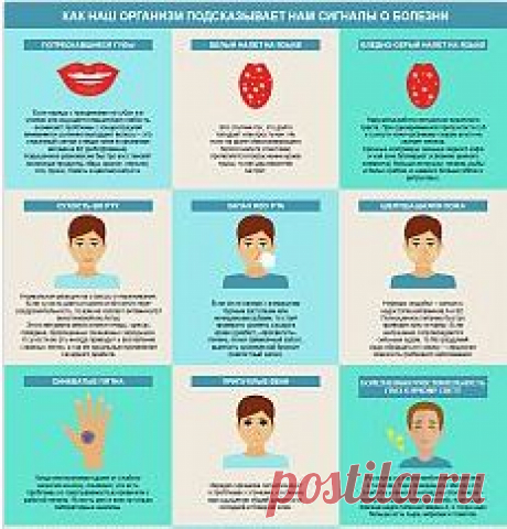 (3 непрочетени) - АБВ поща