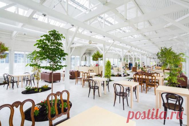 Интерьер кафе на территории ботанического сада Tokachi Hills в японском Хоккайдо | Роскошь и уют
