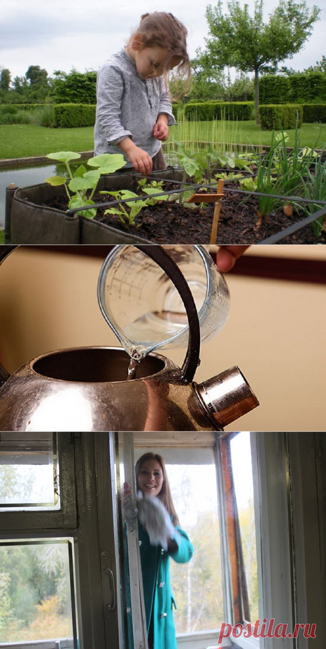 Способы использования яблочного уксуса — Делимся советами