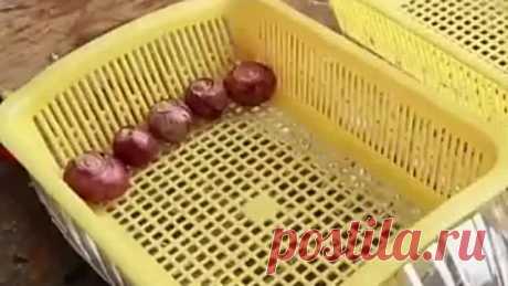 Мастерим приспособу для лука