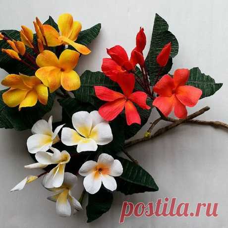 #paper #flowers #decoration #crepepaper #branch #handmade 🍃🍃🍃