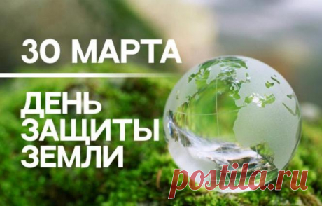 Она дает нам воздух, чтоб дышать
Воду, чтоб жажду утолять,
Землю, что фрукты, овощи собирать
Луга, сады, чтоб с наслаждением гулять
Так давайте ее доброту ценить
И бережно ее хранить!