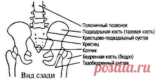 Чарльз и Фрэнсис Хантеры. "Исцеление больных"