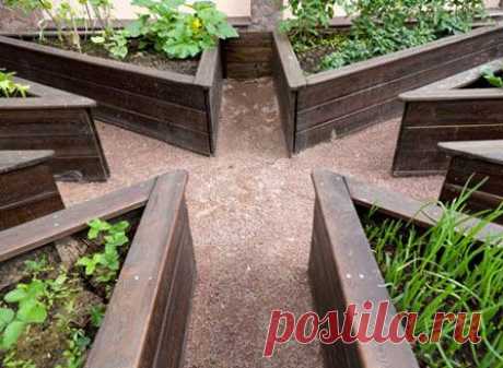 Прием расположения грядок на прямоугольном участке — 6 соток