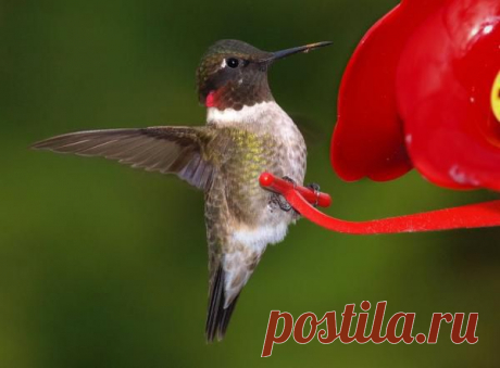 ЕСЛИ ВЫ СЕЙЧАС ЖИВЕТЕ В ФОРМАТЕ 3D: &quot;ДОМА - ДАВИТЕ - ДИВАН&quot; или &quot;ДЕЛАЕТЕ - ДЕНЬГИ - &quot;ДЯДЕ&quot;..., ТО В БУДУЩЕМ ВАС ЖДЕТ ДРУГОЙ ФОРМАТ 3D: &quot;ДОЕДАТЬ - ДОНАШИВАТЬ - ДОЖИВАТЬ&quot;... . НО ЕСТЬ ЕЩЕ ОДИН ВАРИАНТ ФОРМАТА 3D: &quot;ДОМА - ДЕЛАТЬ - ДЕНЬГИ&quot;!!! Приглашаю Вас к себе в команду, есть ГОТОВАЯ СИСТЕМА ДЕЙСТВИЙ, уделяя несколько часов в день, Вы ГАРАНТИРОВАННО будете иметь высокий доход