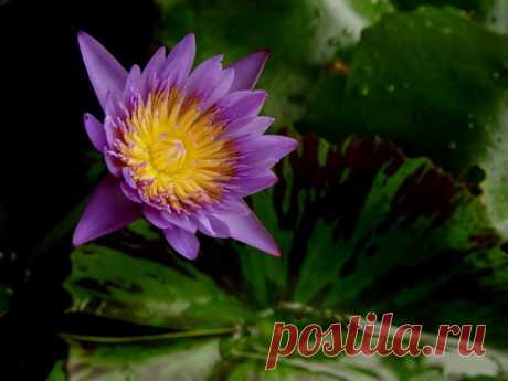 Редактировать описание